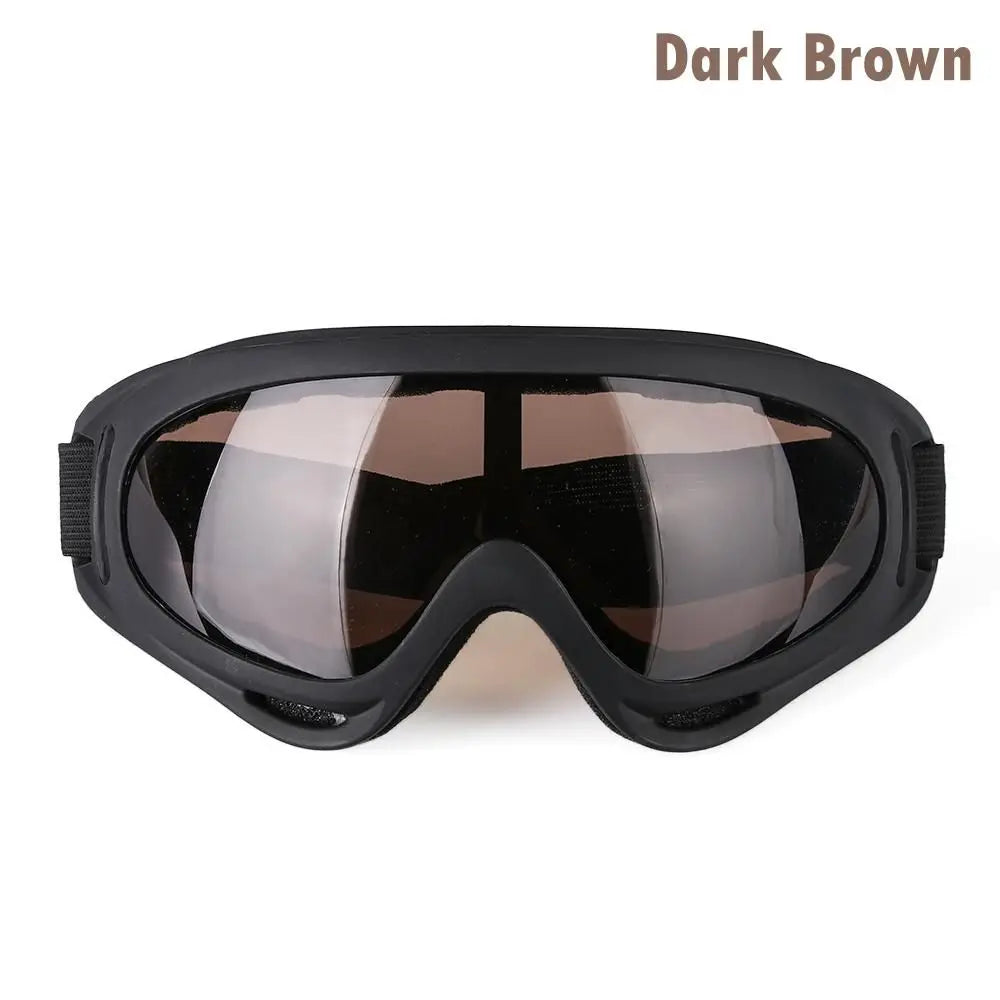 SnowVision Pro Goggles