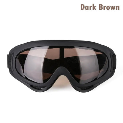 SnowVision Pro Goggles