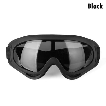 SnowVision Pro Goggles
