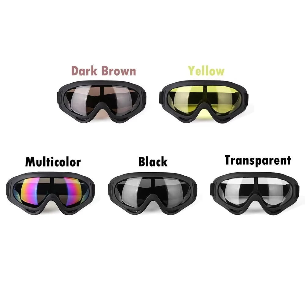 SnowVision Pro Goggles