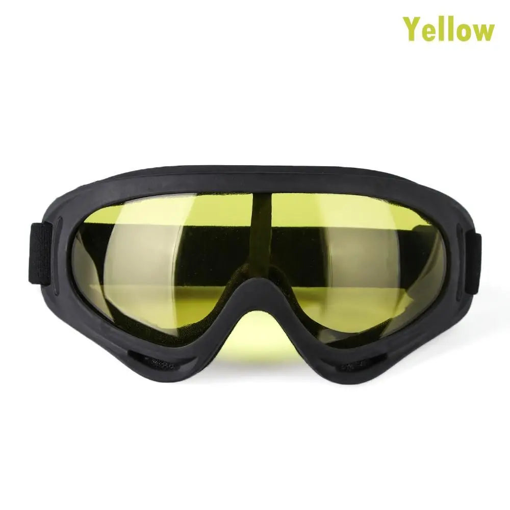 SnowVision Pro Goggles