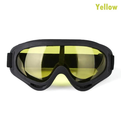 SnowVision Pro Goggles