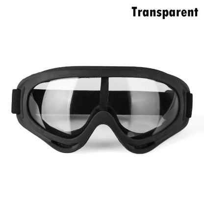 SnowVision Pro Goggles