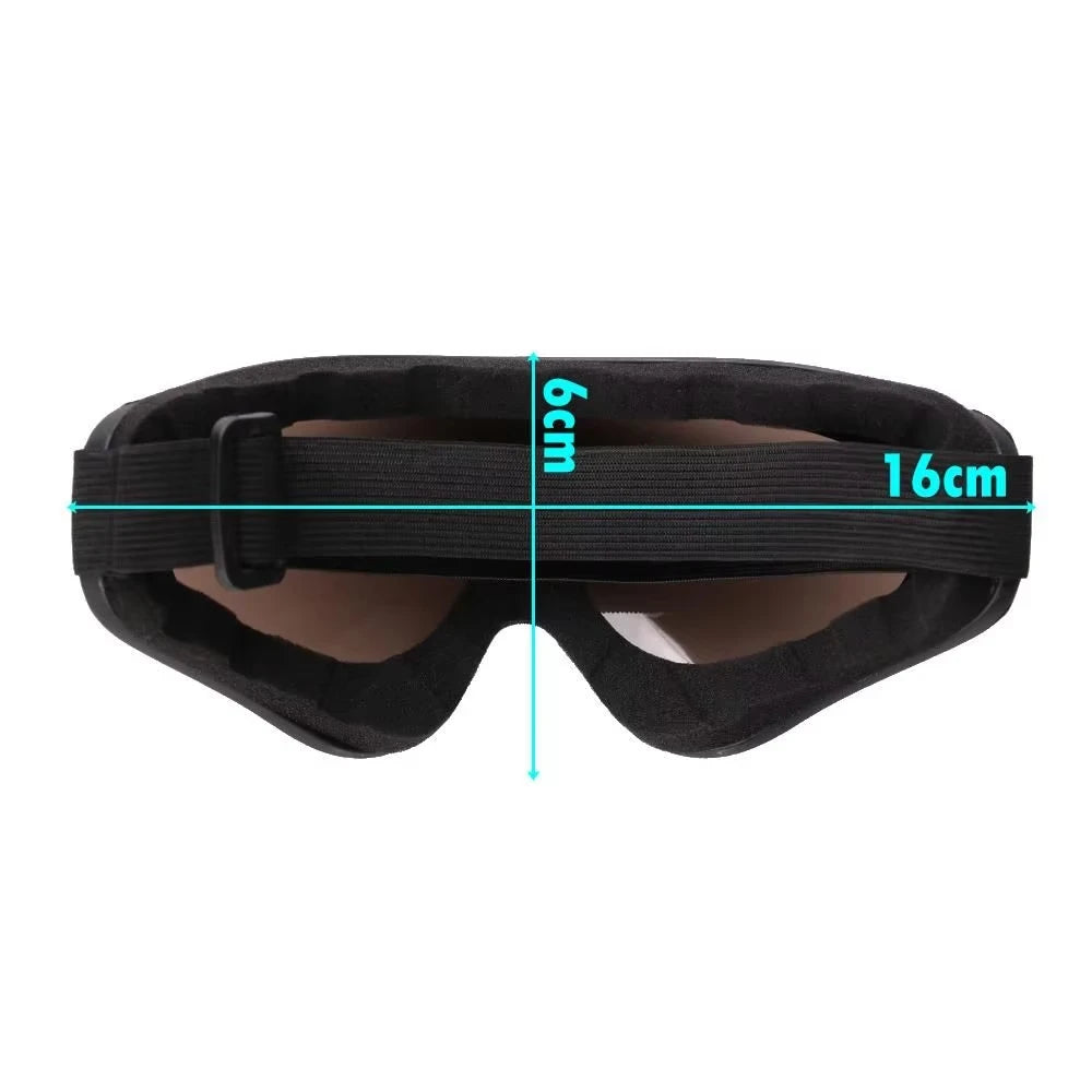 SnowVision Pro Goggles